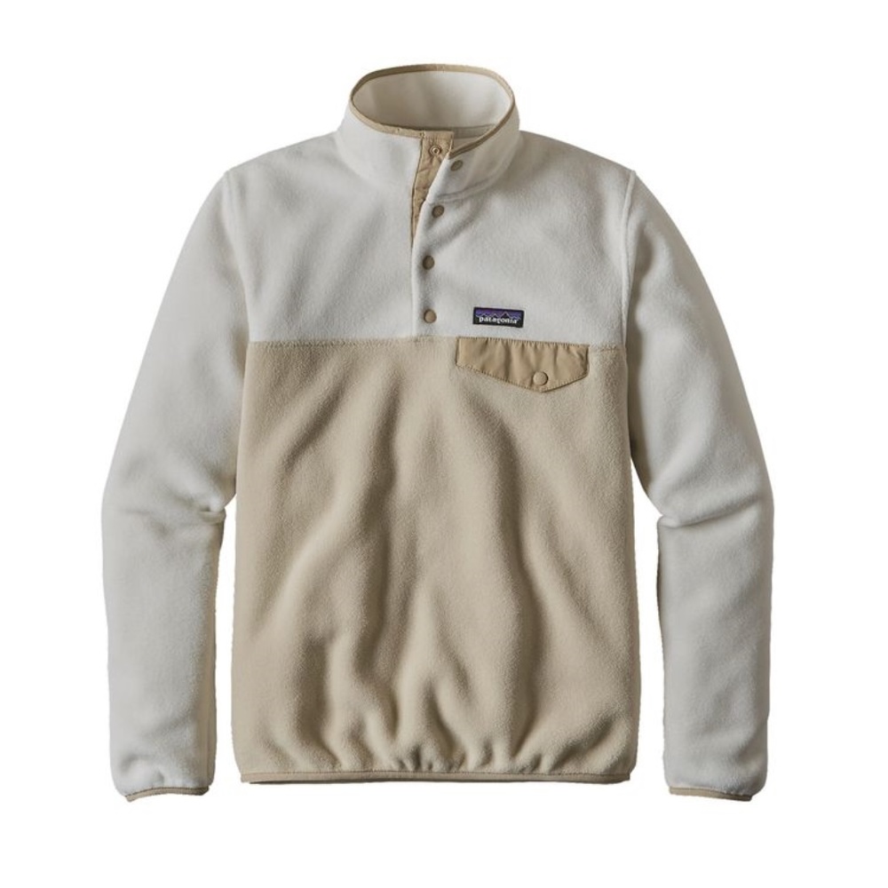 Patagonia Lightweight Synchilla Snap-T Pullover